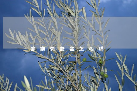 逾期欠款会怎么样 逾期欠款会怎么样