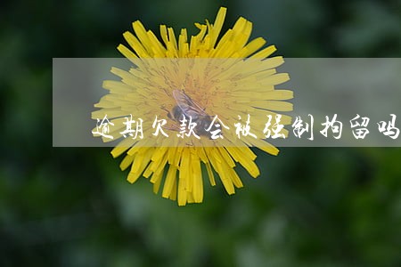 逾期欠款会被强制拘留吗 逾期欠款会被强制拘留吗