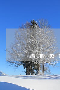 逾期欠款信用卡了怎么办理 逾期欠款信用卡了怎么办理