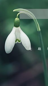 逾期欠款信用卡怎么处理 逾期欠款信用卡怎么处理