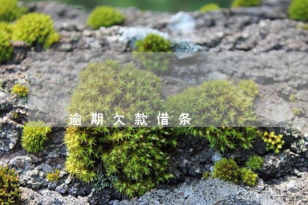 逾期欠款借条 逾期欠款借条