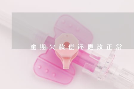 逾期欠款偿还更改正常 逾期欠款偿还更改正常