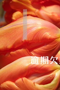 逾期欠款催收公司 逾期欠款催收公司