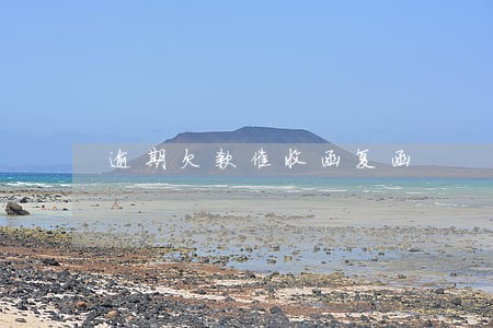 逾期欠款催收函复函 逾期欠款催收函复函