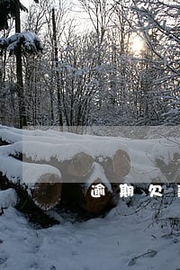 逾期欠款催收函有什么后果 逾期欠款催收函有什么后果