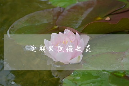 逾期欠款催收员 逾期欠款催收员