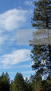 逾期欠款催收技巧 逾期欠款催收技巧