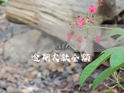 逾期欠款全额