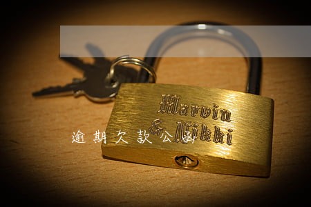 逾期欠款公函