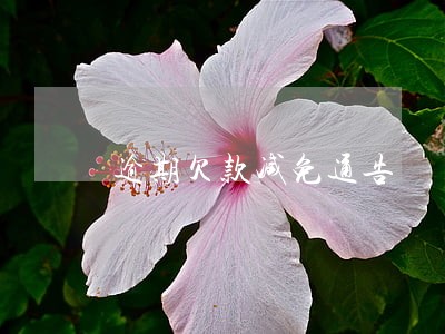 逾期欠款减免通告 逾期欠款减免通告