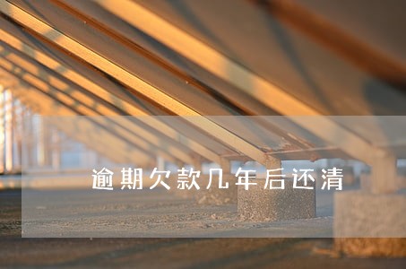 逾期欠款几年后还清 逾期欠款几年后还清