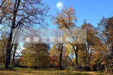 逾期欠款分析 逾期欠款分析