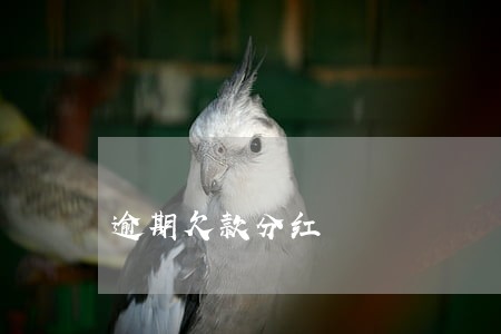 逾期欠款分红 逾期欠款分红
