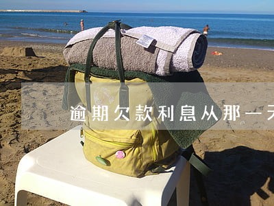 逾期欠款利息从那一天开始 逾期欠款利息从那一天开始