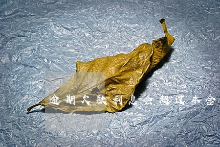 逾期欠款利息会超过本金吗 逾期欠款利息会超过本金吗