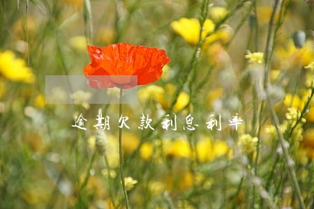 逾期欠款利息利率 逾期欠款利息利率