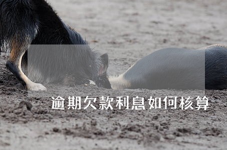 逾期欠款利息如何核算 逾期欠款利息如何核算