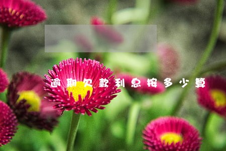 逾期欠款利息按多少算 逾期欠款利息按多少算