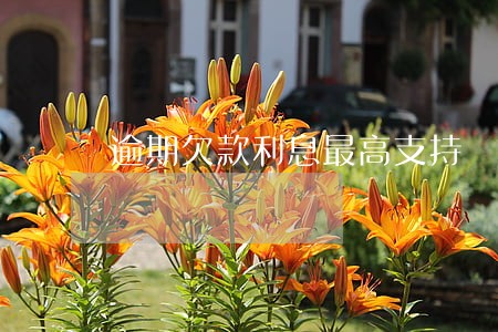 逾期欠款利息最高支持 逾期欠款利息最高支持