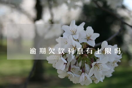 逾期欠款利息有上限吗 逾期欠款利息有上限吗
