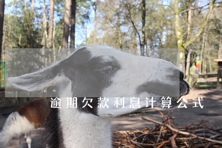 逾期欠款利息计算公式