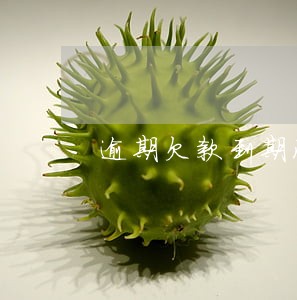 逾期欠款到期没还清怎么办 逾期欠款到期没还清怎么办