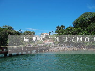 逾期欠款到阳光网查询 逾期欠款到阳光网查询
