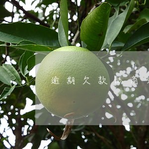 逾期欠款协商分期影响征信吗 逾期欠款协商分期影响征信吗