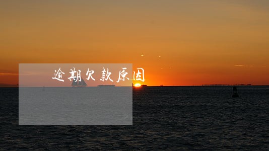 逾期欠款原因 逾期欠款原因