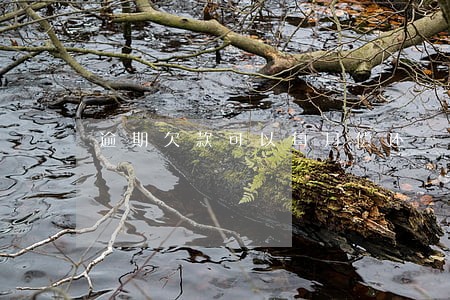 逾期欠款可以每月偿还一点吗 逾期欠款可以每月偿还一点吗