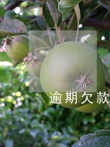 逾期欠款可以额外收取利息吗 逾期欠款可以额外收取利息吗
