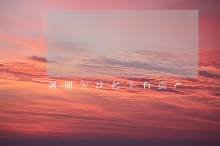 逾期欠款名下有资产 逾期欠款名下有资产