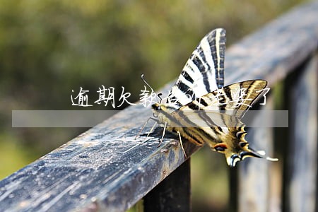 逾期欠款告诉老婆了 逾期欠款告诉老婆了