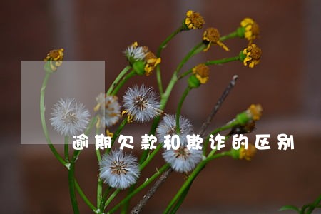 逾期欠款和欺诈的区别 逾期欠款和欺诈的区别