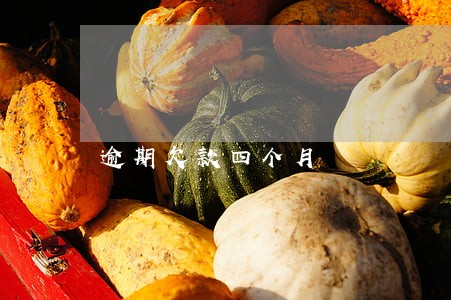 逾期欠款四个月 逾期欠款四个月