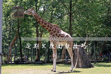 逾期欠款回款技巧 逾期欠款回款技巧