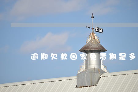 逾期欠款国家免责期是多少天 逾期欠款国家免责期是多少天