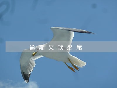 逾期欠款坐席 逾期欠款坐席