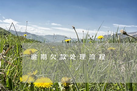 逾期欠款处理流程