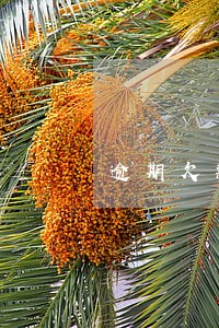 逾期欠款处理通告