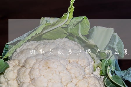 逾期欠款多少钱才会立案 逾期欠款多少钱才会立案