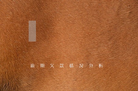逾期欠款情况分析