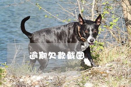 逾期欠款截图