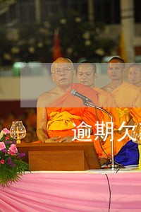 逾期欠款截图3000元 逾期欠款截图3000元