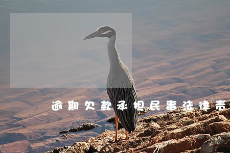逾期欠款承担民事法律责任 逾期欠款承担民事法律责任