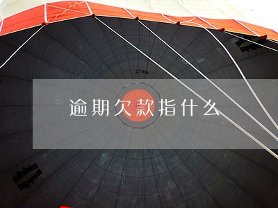 逾期欠款指什么