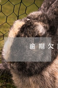 逾期欠款收取利息 逾期欠款收取利息
