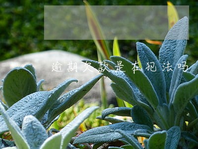 逾期欠款是在犯法吗 逾期欠款是在犯法吗