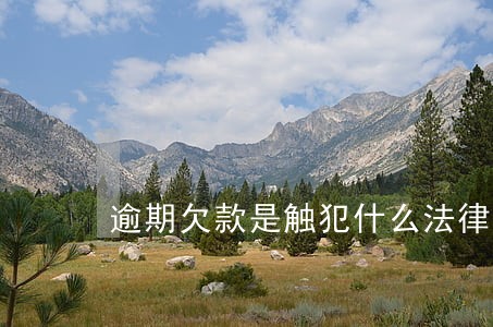 逾期欠款是触犯什么法律 逾期欠款是触犯什么法律