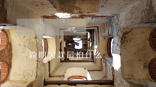 逾期欠款最怕什么 逾期欠款最怕什么